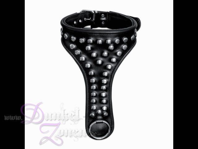LEDER-HALSBAND *DELUXE* MIT NIETEN O-RING SCHNALLE - Echtlederhalsband schwarz