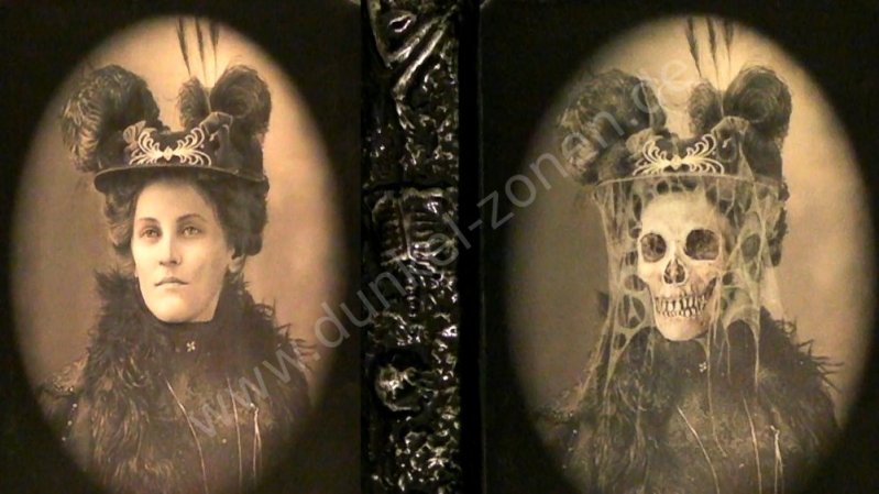 EFFEKTBILD - SCHAUER-TANTE - Grusel-Bild mit Verwandlung Halloween-Dekoration
