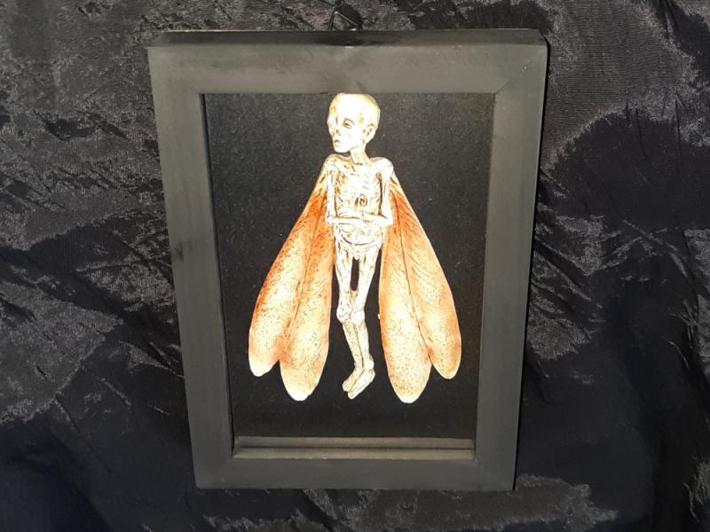 MUMIE ELF FEEN MANN - Kuriosität Libellen Flügel Wesen Fantasy Grusel Taxidermie Präparat Dekoration