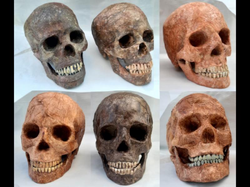 TOTENKOPF TOTENSCHÄDEL SCHÄDEL GRIM ROTTEN SKULL 1:1 lifesize Halloween Grusel Horror Deko Unikate
