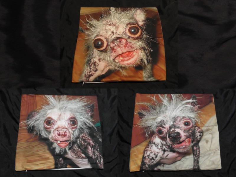 KISSENBEZUG SET 2 - 3x H&auml;ssliche Hunde Kuscheltiere Ugly Dogs Pets Dekoration 
