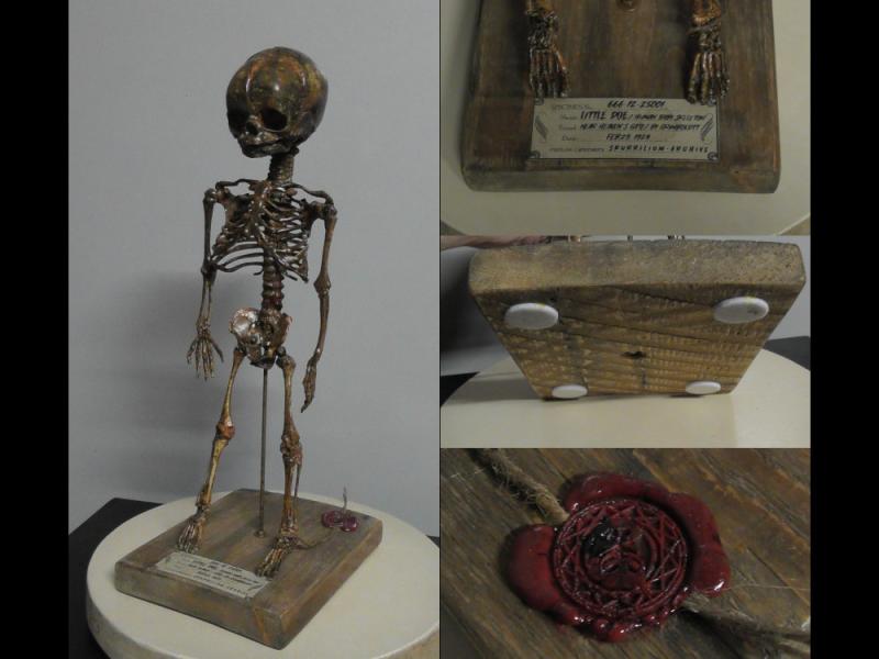 BABY SKELETT Modell LITTLE DOE Grusel Horror Anatomie Taxidermie Deko Unikat Einzelst&uuml;ck Grimboldtt