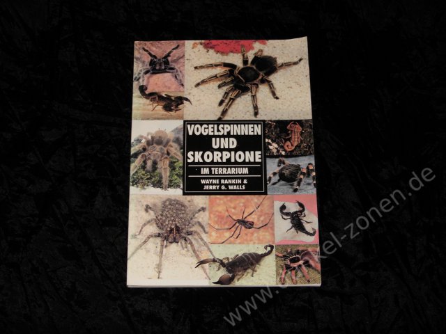 VOGELSPINNEN UND SKORPIONE - Rankin und Walls - Softcover Sachbuch