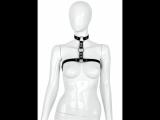 Bild 2 Bild 2