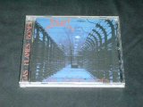 BLOOD - Gas Flames Bones - Death Metal / Grindcore - 1999 - CD