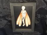 MUMIE ELF FEEN MANN - Kuriosität Libellen Flügel Wesen Fantasy Grusel Taxidermie Präparat Dekoration