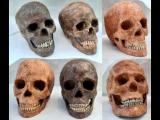 TOTENKOPF TOTENSCHÄDEL SCHÄDEL GRIM ROTTEN SKULL 1:1 lifesize Halloween Grusel Horror Deko Unikate