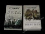 GUILD WARS 1 - DIE GEISTER VON ASCALON - Fantasy Roman Taschenbuch TB SC Panini