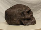 Bild 7 Bild 7
