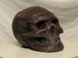 Bild 7 Bild 7