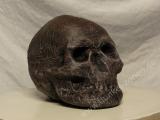 Bild 7 Bild 7