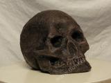 Bild 7 Bild 7