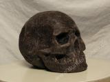 Bild 7 Bild 7
