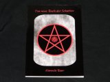 NEUE BUCH DER SCHATTEN, DAS - Magie, Hexen, Okkultes - Taschenbuch neuwertig