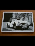 Bild 12 Bild 12