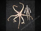 PROMETHEUS TRILOBITE VS. ENGINEER BATTLE DAMAGED - deluxe Actionfiguren 2er Set NECA - Aliens